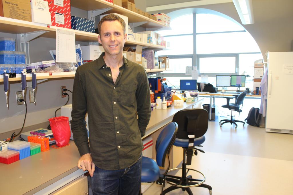 Dr. Greg Hapgood Dr. Greg Hapgood Research Fellow